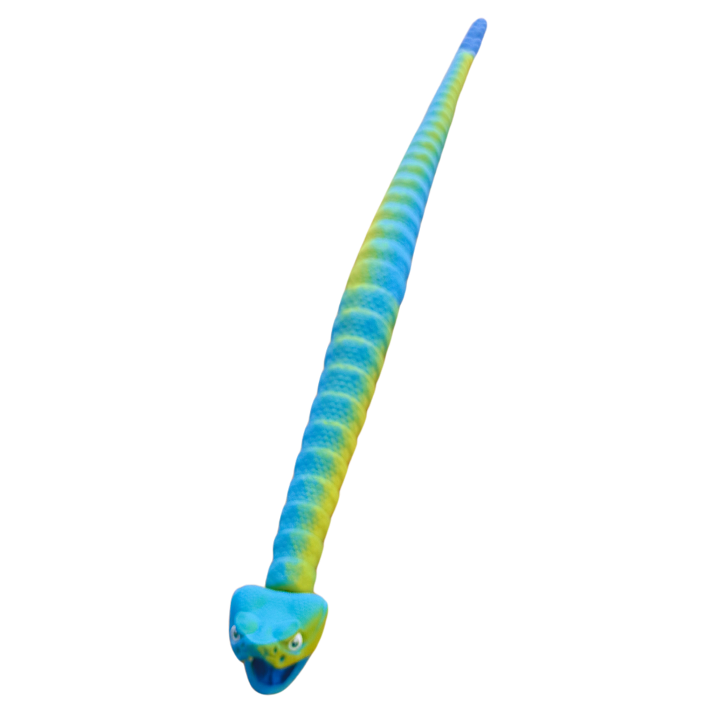 Blue Green Rattle Snake