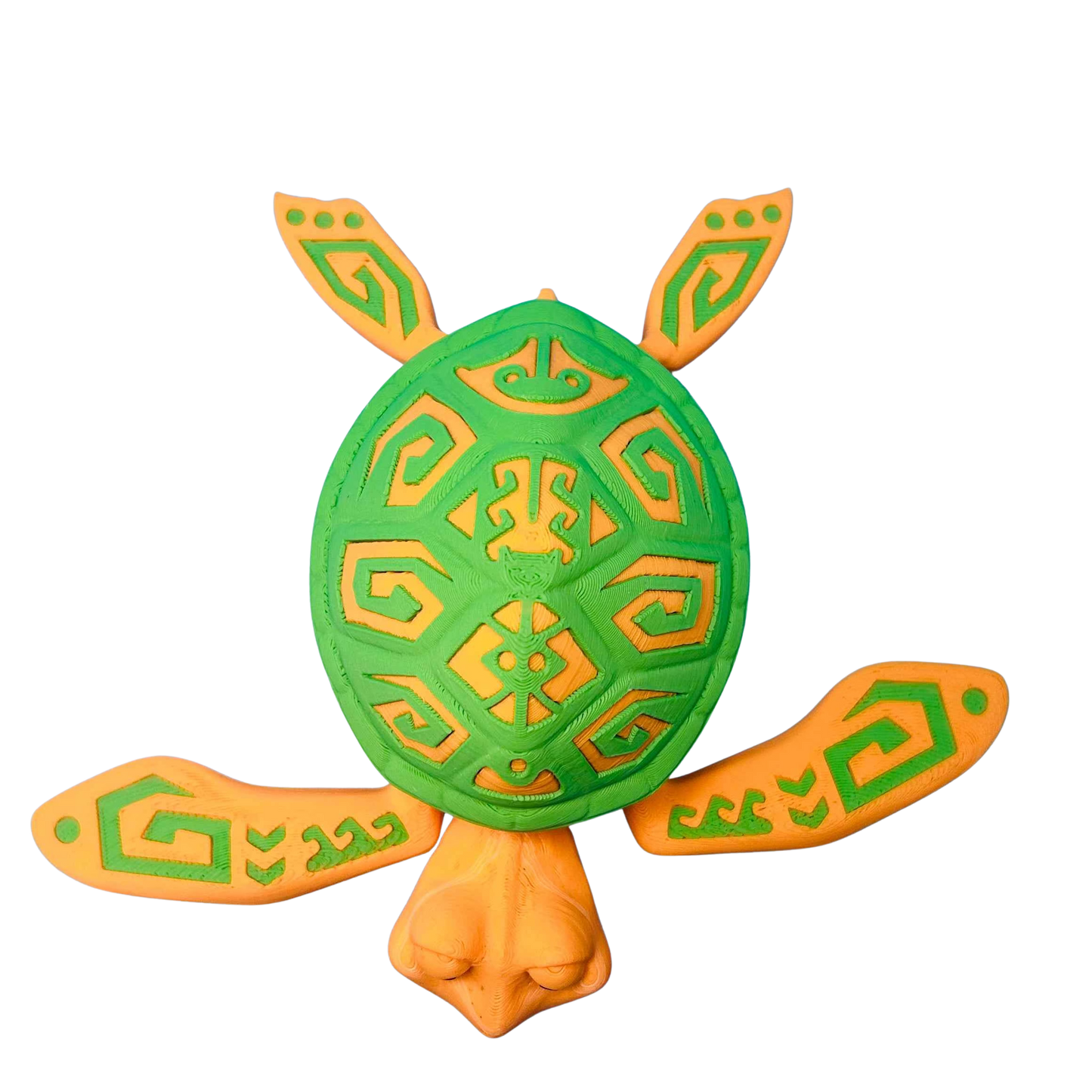 Flexi Tattooed Turtle Box