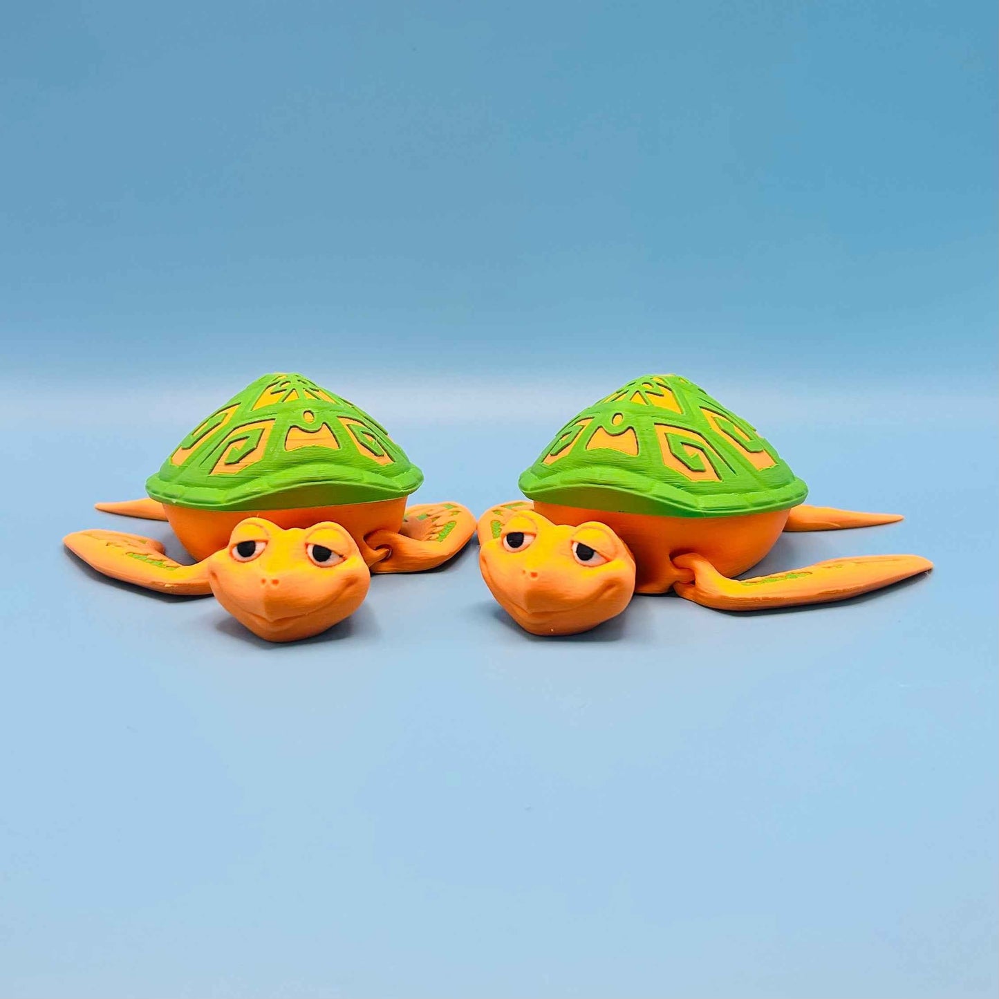 Flexi Tattooed Turtle Box