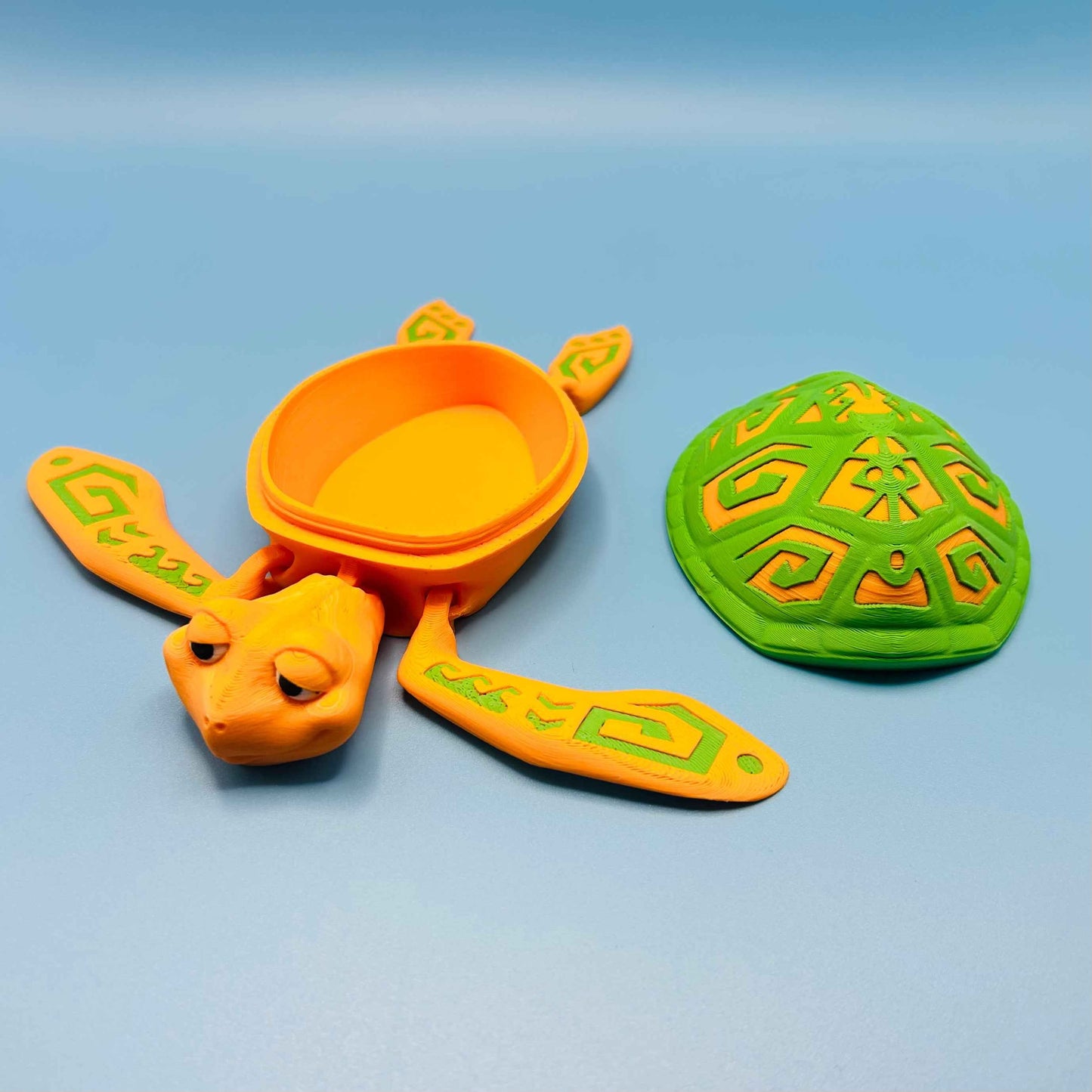 Flexi Tattooed Turtle Box