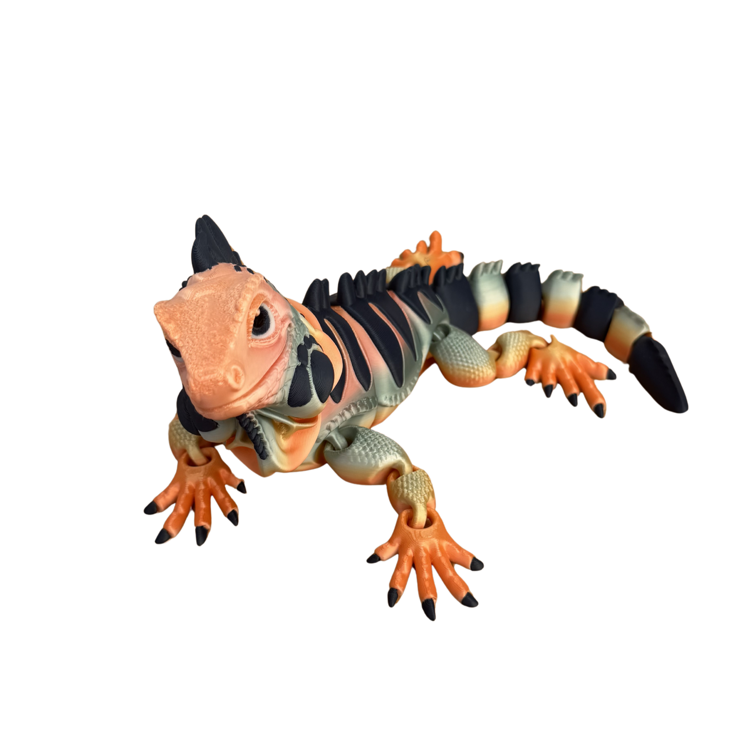 The Colourful Iguana Family
