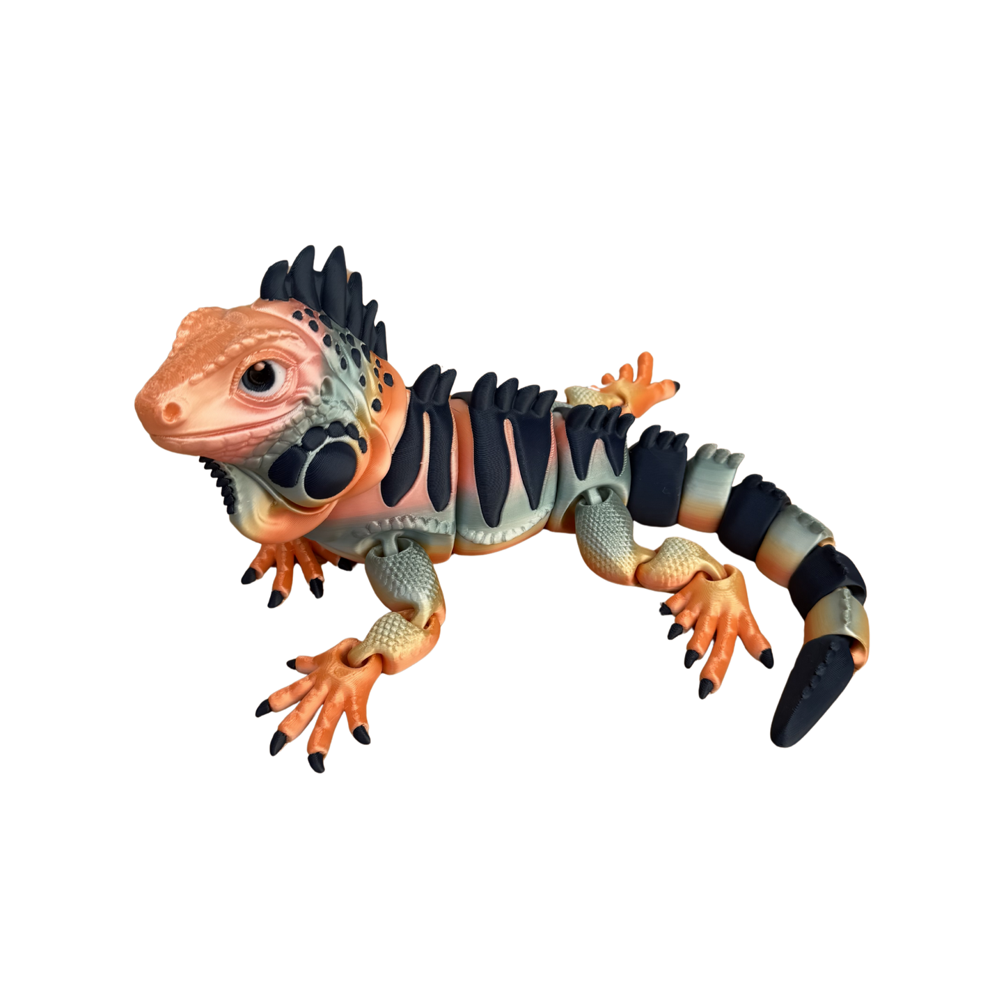 The Colourful Iguana Family