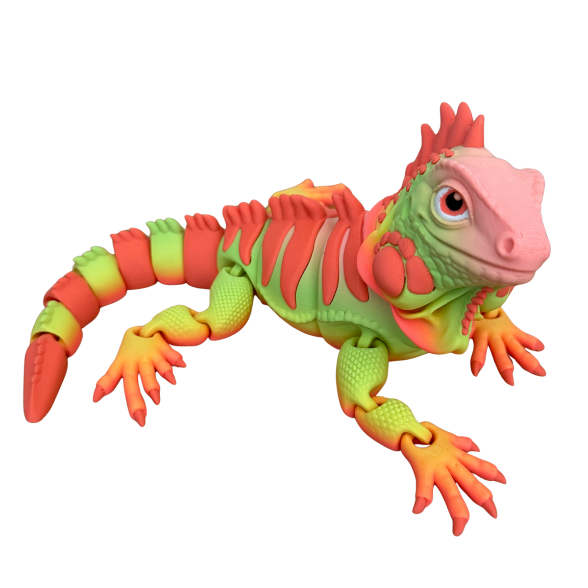 The Colourful Iguana Family
