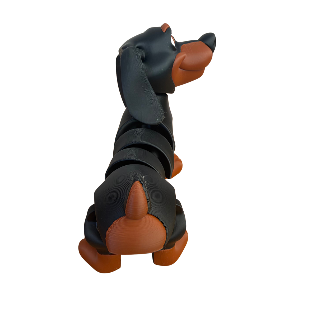 Dachshund Sausage Dog