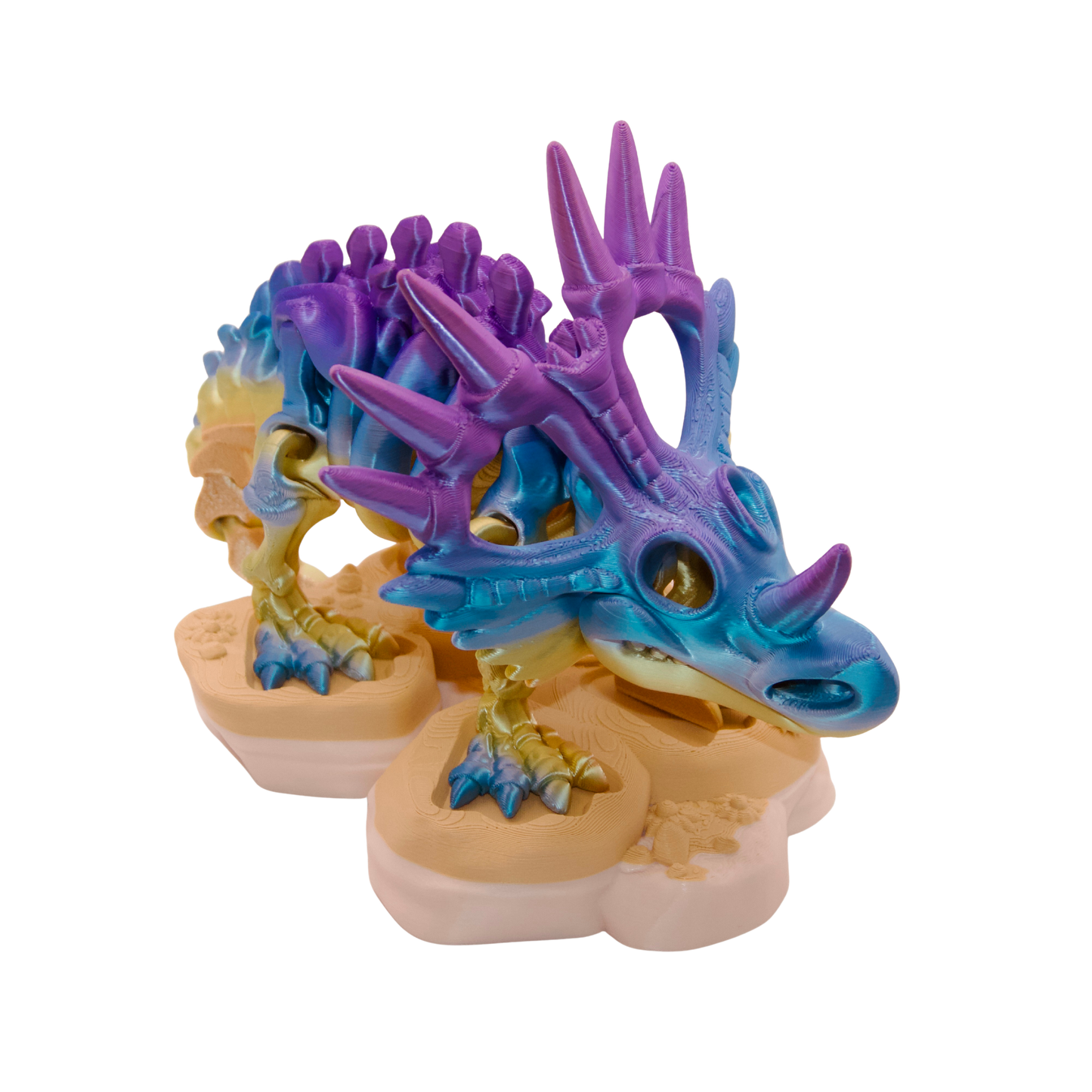 Skeleton Styracosaurus Dinosaur