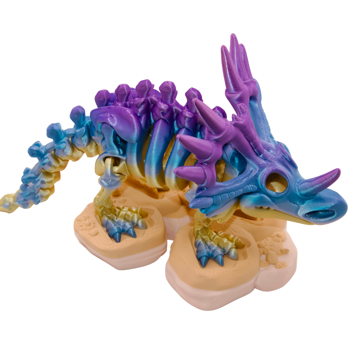 Skeleton Styracosaurus Dinosaur