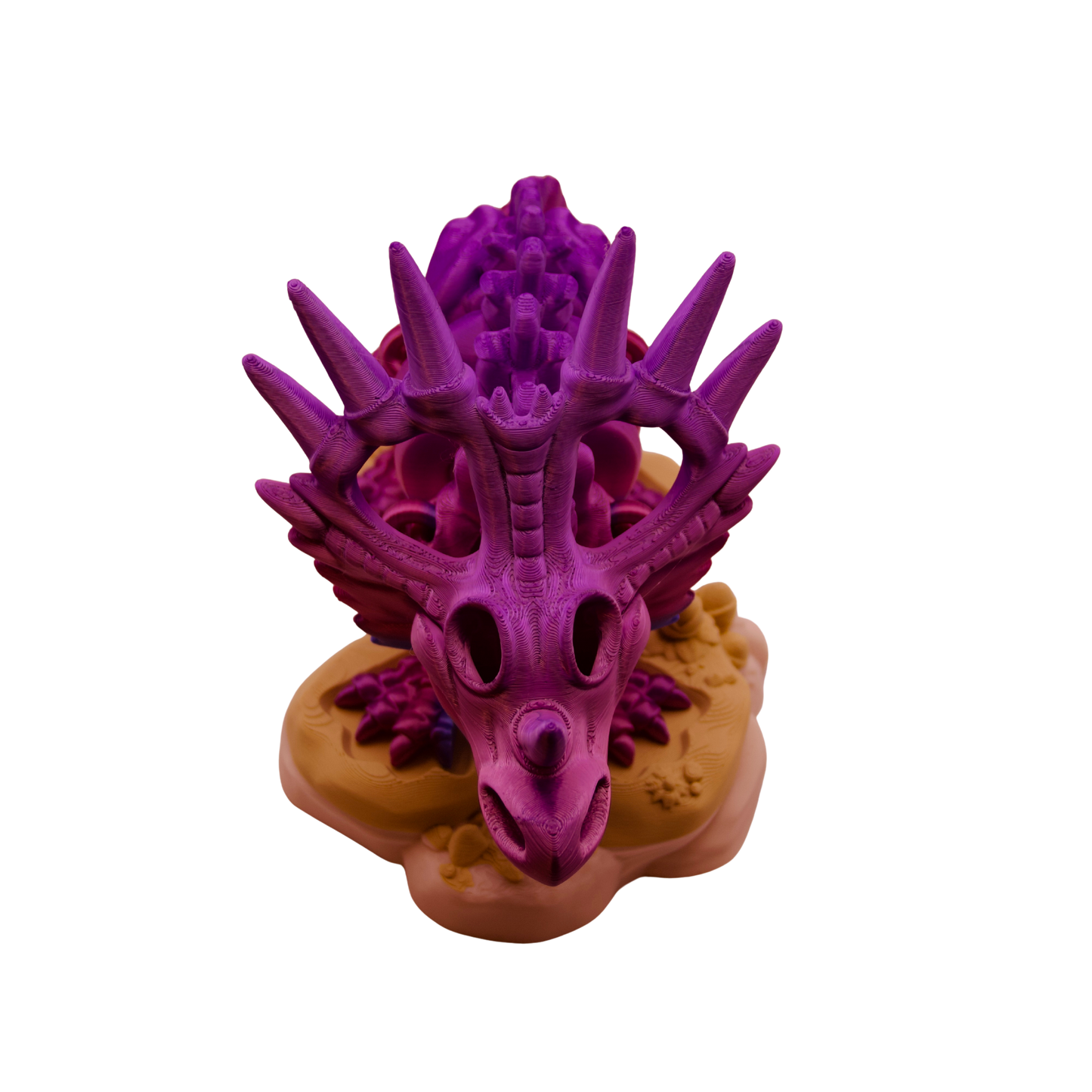 Skeleton Styracosaurus Dinosaur
