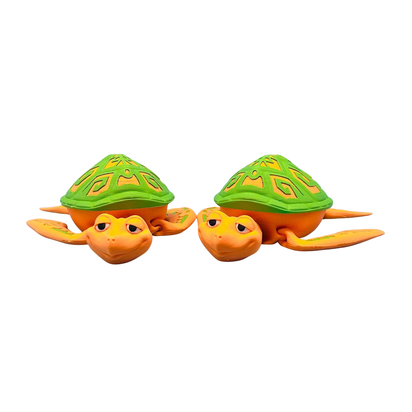 Flexi Tattooed Turtle Box