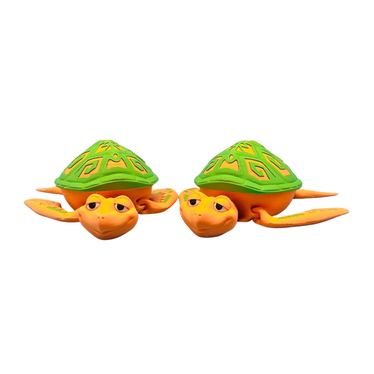 Flexi Tattooed Turtle Box