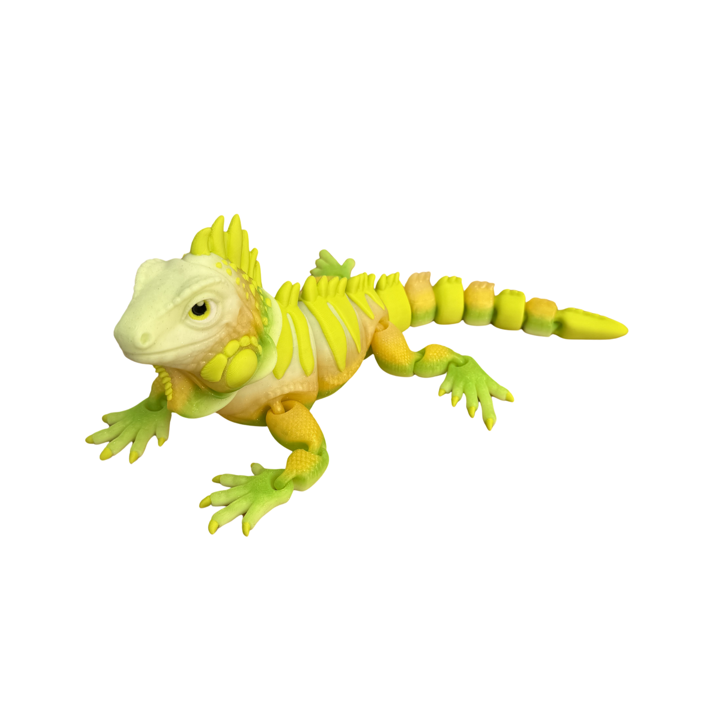 The Colourful Iguana Family